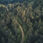 Trends in Government Surplus Vehicle Auctions: Laser 247 new id, Lotus365win, Sky247 com login password