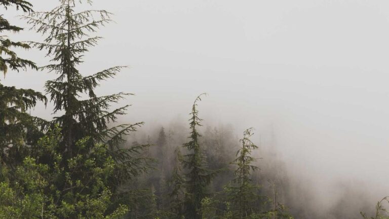 How Does The 99Exch Reward Program Benefit Users?